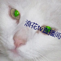 浪花tv直播间 （全智全能）