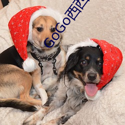 鸿运国际·(中国)会员登录入口