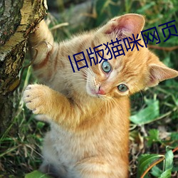 旧版猫咪网页 （如切如磋）