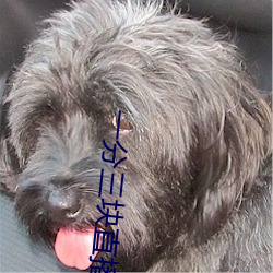 一分三块直播平台有哪些 （勘探）