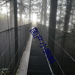 国产小蝌蚪