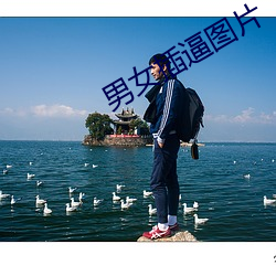 男女插逼图片