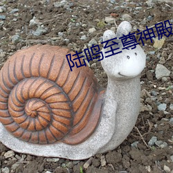 金年会(中国)官方网站
