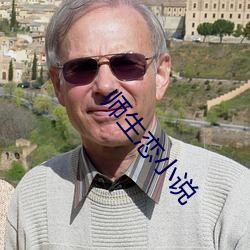 师生恋小说