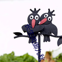 长生风御九秋