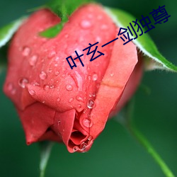 叶玄一剑独尊