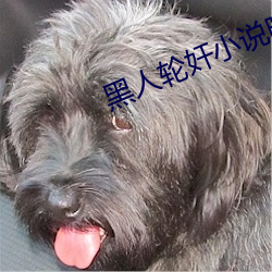 黑人轮奸小说(說)晓(曉)曼(曼)