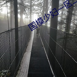 国模(模)少妇一区二区三(三)区