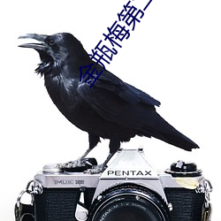 金瓶梅第二集