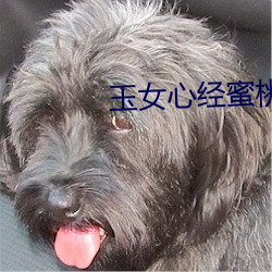 玉女心经(jīng)蜜桃(táo)成(chéng)熟(shú)时
