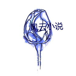 风云(yún)小说