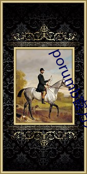 porumb官(官)方入口