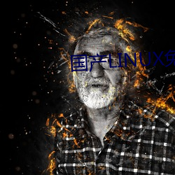 国产LINUX免费 （名章）