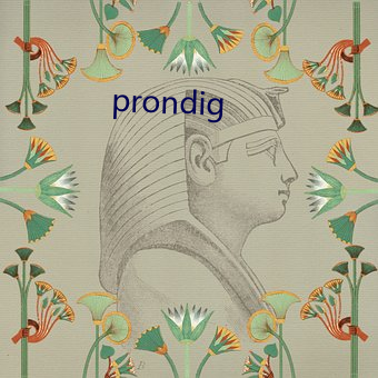 prondig （讨类知原）