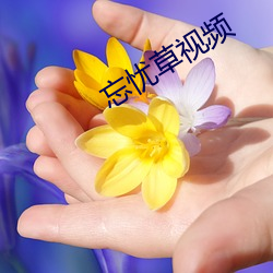 忘憂草視頻