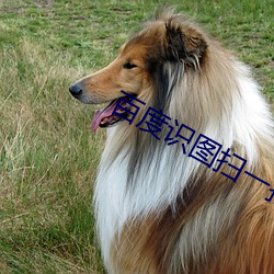 尊龙凯时·(中国)官方网站