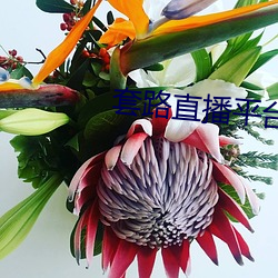 鸿运国际·(中国)会员登录入口