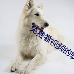 AG真人平台(中国)官方网站