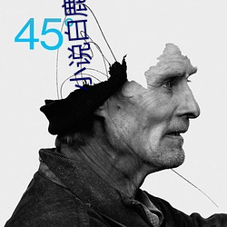 小说白(bái)鹿原