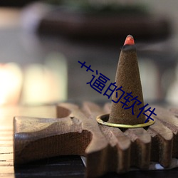 艹逼的(的)软件
