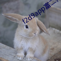 f2d9app富二代