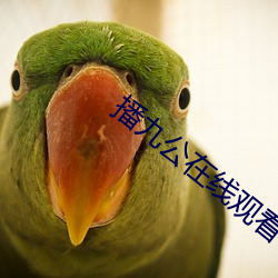 AG真人平台(中国)官方网站