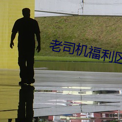 老司机福利区