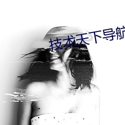 技术(術)天下导航网导航