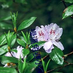 918博天堂·(中国)手机版客户端