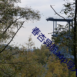 春杏(杏)异航aap导入