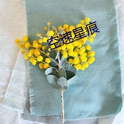 空速星痕 死灰复燃）