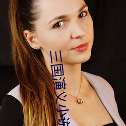 三(sān)国演(yǎn)义小说(shuō)