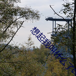 想起我叫什麽了嗎