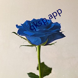 qksp.app