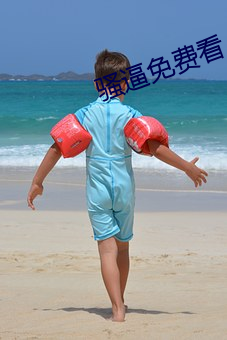 骚逼免(免)费看(看)