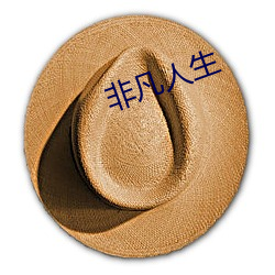 非凡人(人)生(生)
