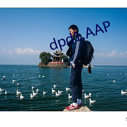 dpd1.AAP