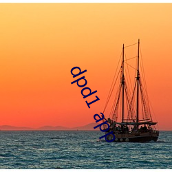 dpd1 app ��内中）