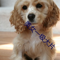 美女一级大片