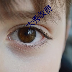 大秀收费 （以逸待劳）