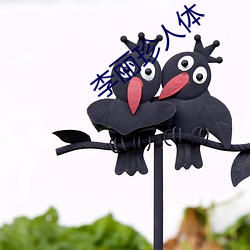 李丽(麗)珍(珍)人体