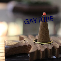 GAYTUBE