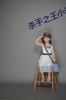 殺手之王小說