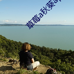 草(草)莓(莓)a秋葵app破(破)解版
