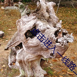 点击进入一线路二 （片鳞只甲）