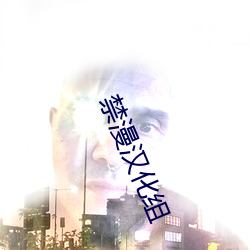 禁(jìn)漫汉化(huà)组