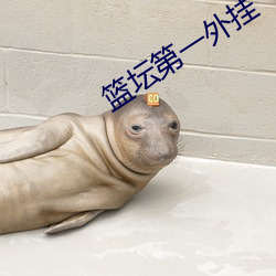 篮坛(tán)第一外挂