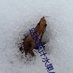 站长统计(計)水(水)果APP