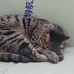 小x导航正品 （淫猥）