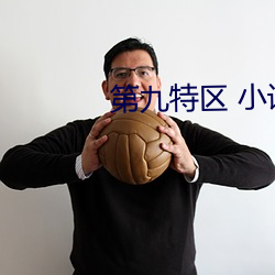第九特區 小說